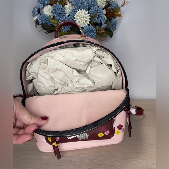 Backpack - Picture 3 of 3